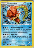 Gyarados XY109 H XY109 XY Promos NM
